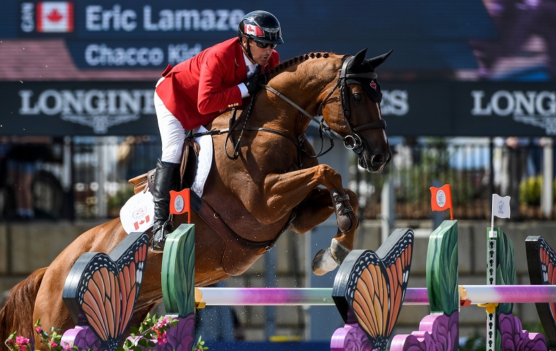  Jumping, Vaulting, and Para-Dressage at Tryon 2018 FEI World Equestrian Games (WEG) Box Qutie Anna Freskgård Tryon Equine Hospital show jumping world equestrian games vaulting weg para-dressage, grooms at world equestrian games