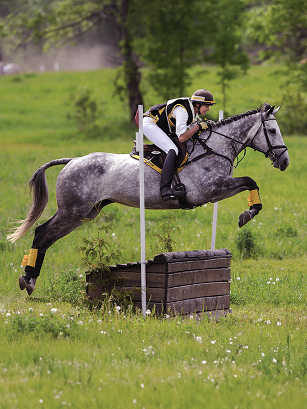 grandview horse trials, how to photograph horses, horse photography in motion, action photography horses, equine action photography, photography at horse events, photo of horse using phone, take best horse photos, how to take a conformation photo of horse, make horse look good in photo, shawn hamilton