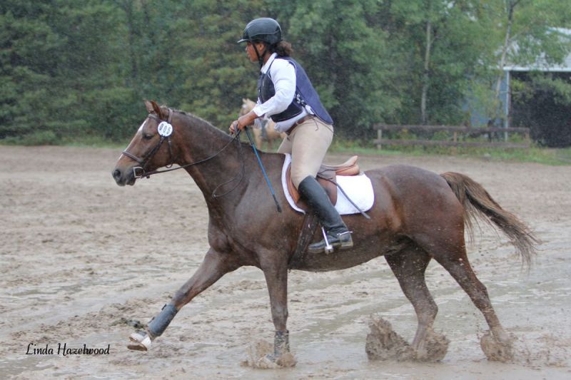 manitoba horse council Multi-Discipline Team Challenge, Manitoba Equestrian Championships, Birds Hill Park, sport manitoba respect in sport program horse equine canada