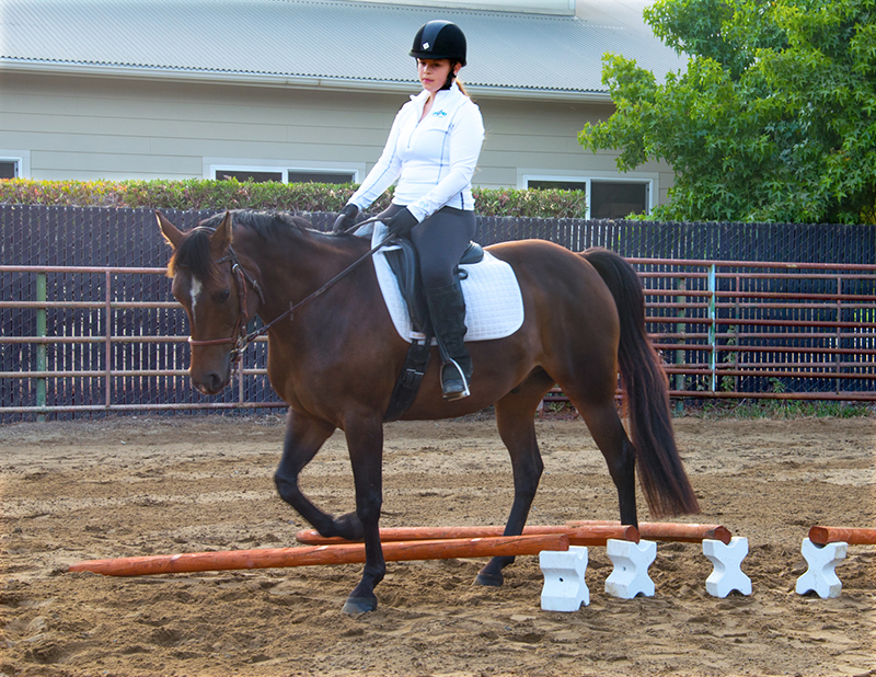 horse pole exercises, stretches for horses, jec a ballou equestrian horse trainer, groundwork for horses, corrected exercises for horses