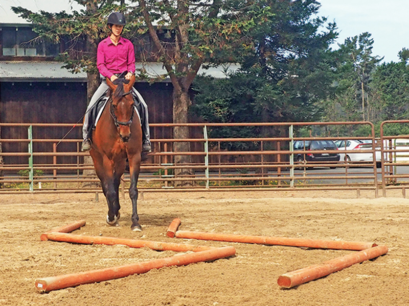 jec ballou, different speeds trot, tempo canter, tempo walk speed horse, training horse transition, zig zag poles horse