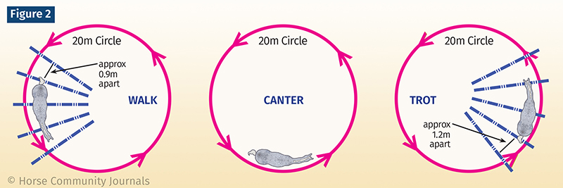 jec a ballou groundwork, stretches for horse, equine neuromuscular patterns, imbalance in horse exercises
