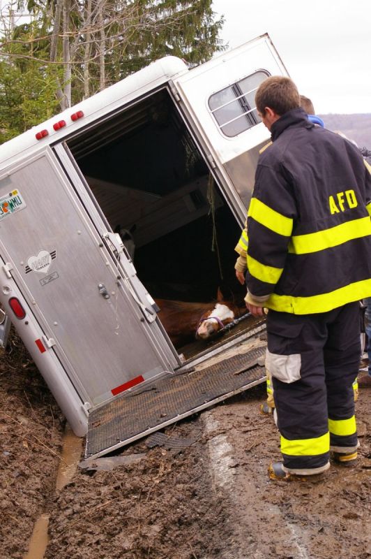 equine emergencies, what to do in case of a horse trailer accident, how to help my horse in an emergency, horse rescuers
