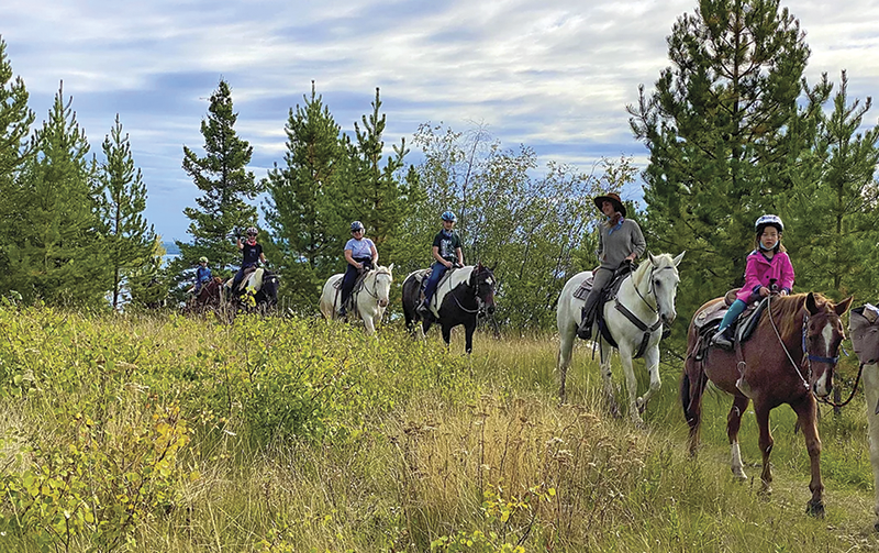 horse riding holidays canada, vacationing with horses, shawn hamilton, anchor d guiding, bar w guest ranch, brewster adventures, flying u ranch, alberta horse riding, ontario holiday riding