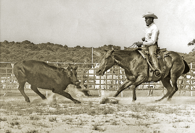 Jay Duke, A True Horseman jay duke Canadian Equestrian Team in show jumping, course designer Equestrian Canada