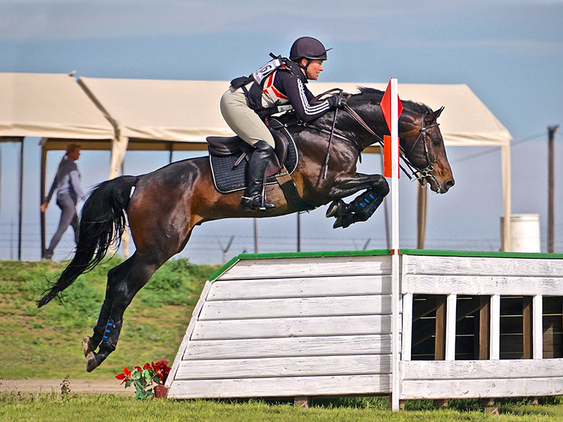Inspiring horse stories, equestrian Juliet Graham, equestrian Nick Hlmes-Smith, equestrian Sandra Donnelly, equestrian Bruce Mandeville, equestrian Rob Stevenson