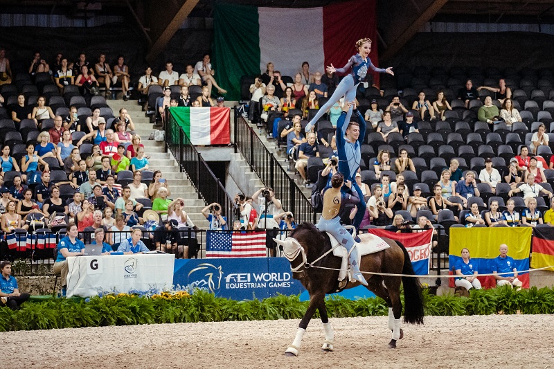  Jumping, Vaulting, and Para-Dressage at Tryon 2018 FEI World Equestrian Games (WEG) Box Qutie Anna Freskgård Tryon Equine Hospital show jumping world equestrian games vaulting weg para-dressage, grooms at world equestrian games