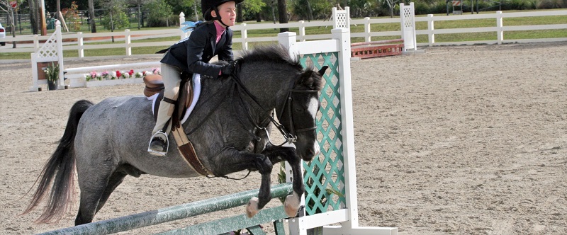 proper riding arena footing, ideal riding arena surfaces, White Paper Equestrian Surfaces, equestrian surfaces, riding arena irrigation systems, riding arena crystalline silica dust