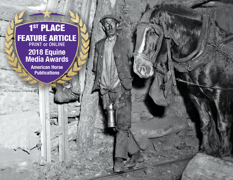 canadian horse journal editorial awards 2019, high quality canadian editorial content, canadian horse editorial, award winning canadian editorial, margaret evans canadian award winning writer