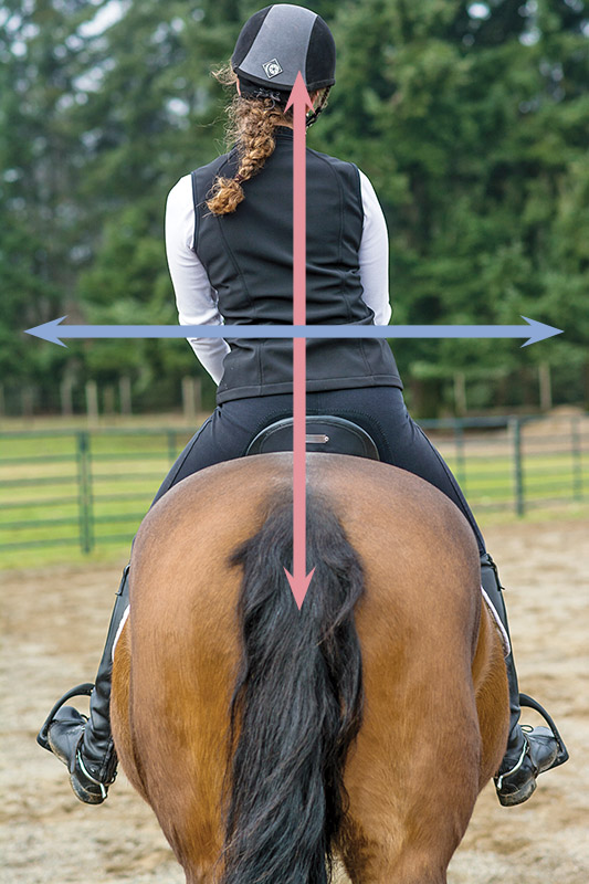how to improve your horse riding position, horse riding tips, horse riding stretches to improve position in saddle