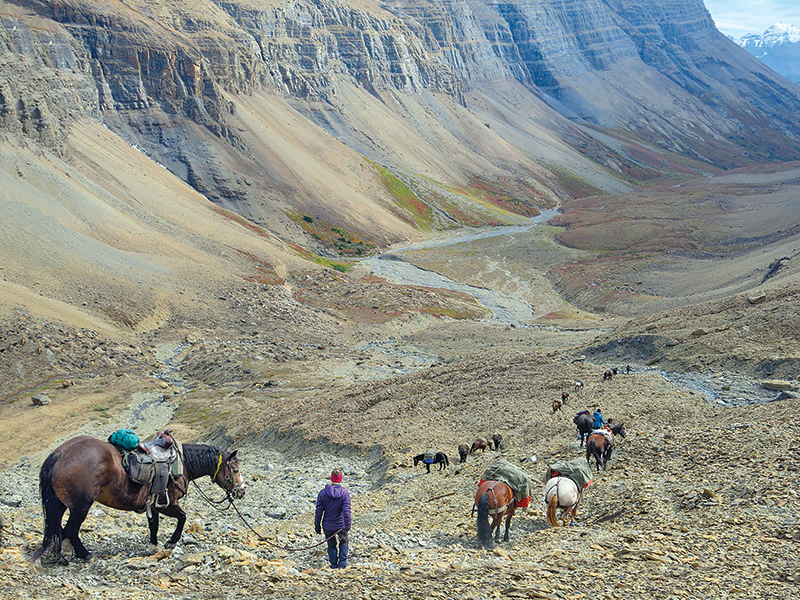 horse riding vacations in bc, holidays on horseback, muskwa-kechika horse rides, tania millen, wayne sawchuk