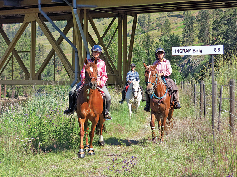 horse camping tips, some ways to improve horse camping, go camping with your horse