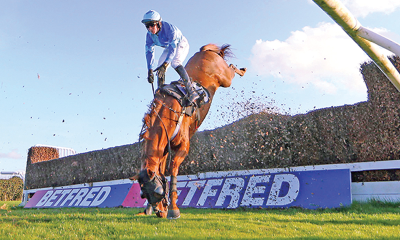 how to fall off of a horse, protect your child from horse accidents, riding a horse safely, land safe equestrian