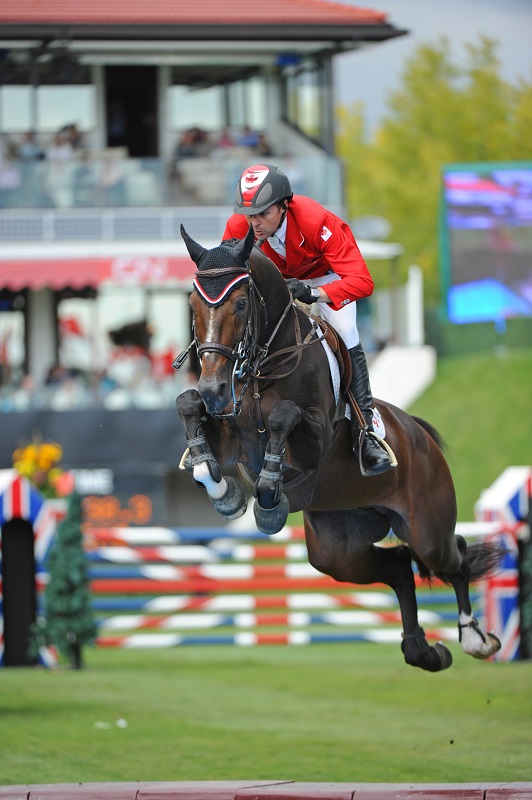 eric lamaze's hickstead, show jumping canada, best canadian show jumping horses, hickstead horse