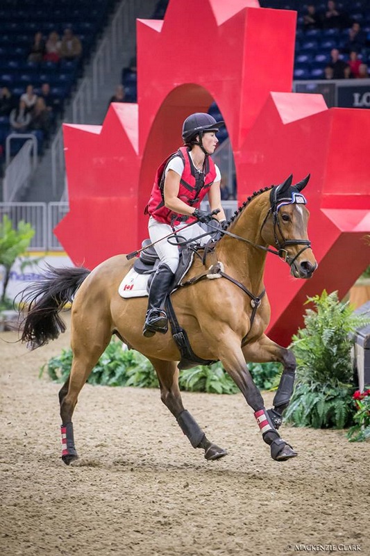 obtaining capital for Horse Sports, getting money for Horse Sport, gathering money for Horse Sport, Crowdfunding for horse sports