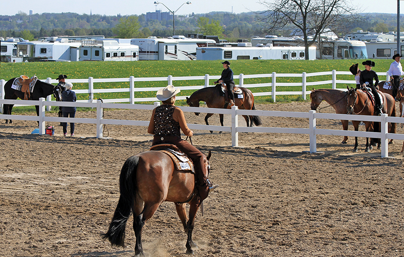 lindsay grice, preparing for a horse competition, psychology of riding horses, helping an anxious horse, horse refuses, horse won't cooperate
