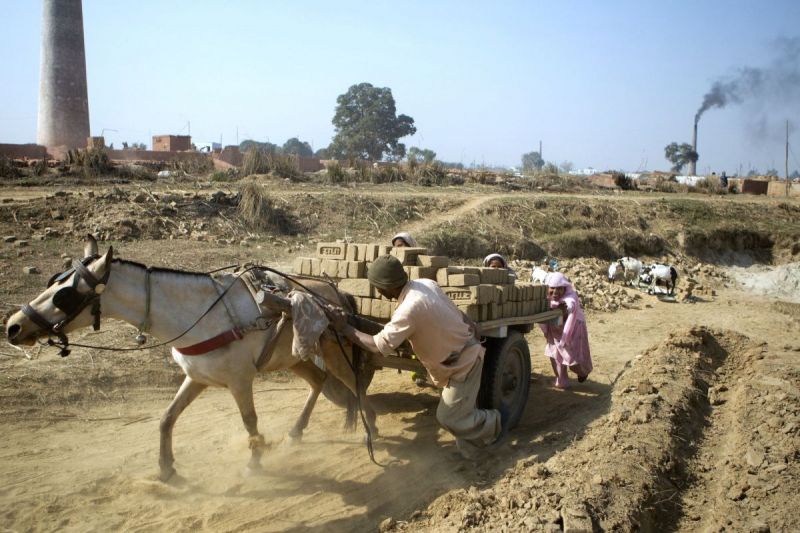 Official Charity of the FEI World Equestrian Games™ Tryon 2018 brooke, action for working horses and donkeys, brookeusa