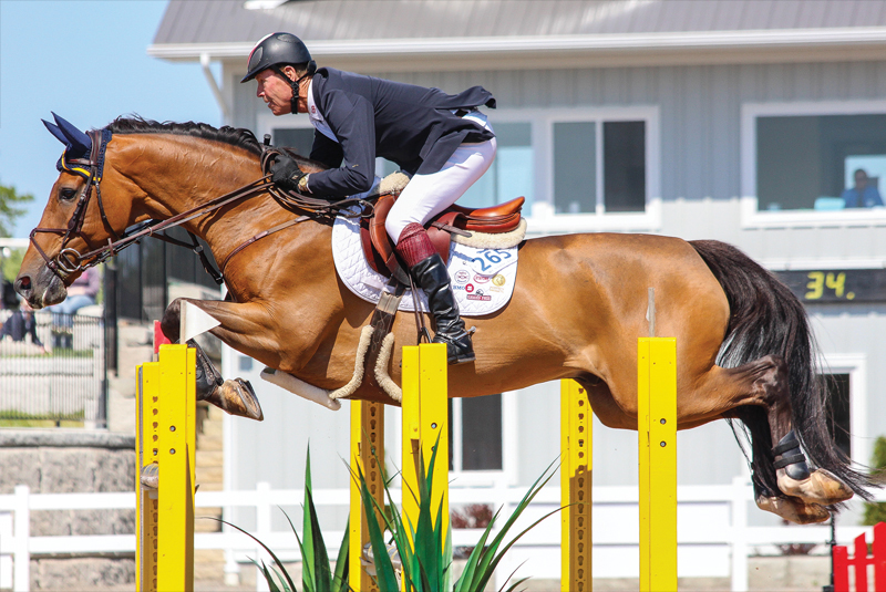 ian millar retires, ian millar's accomplishments, big ben ian millar captain canada, olympic horse rider canada