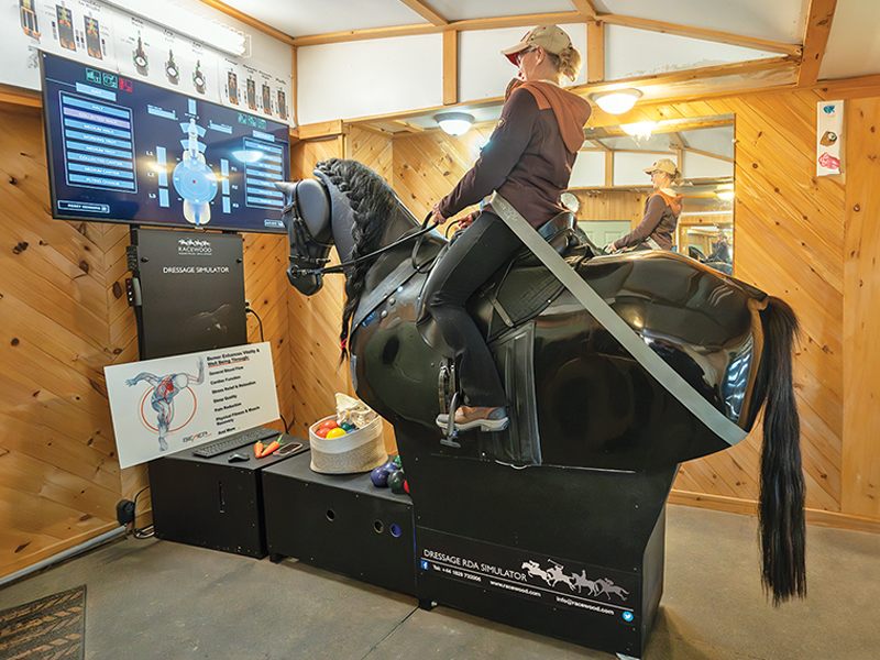 TheraBand exercise on RooElla simulator promotes rider symmetry, balance, and pelvic alignment.