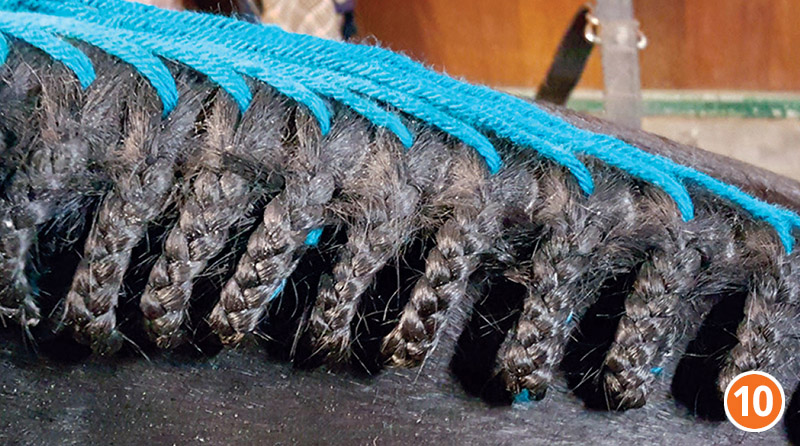 how to braid horse for hunter, how to braid horse for jumper, how to braid horse for dressage