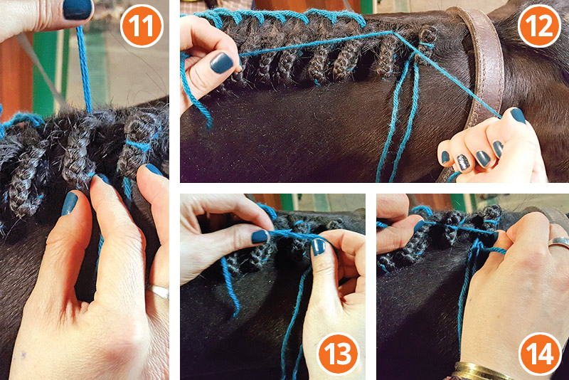 how to braid horse for hunter, how to braid horse for jumper, how to braid horse for dressage
