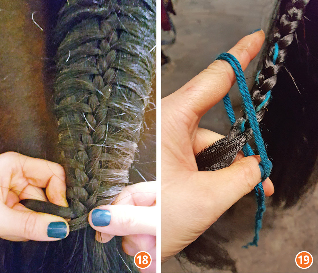 how to braid horse for hunter, how to braid horse for jumper, how to braid horse for dressage