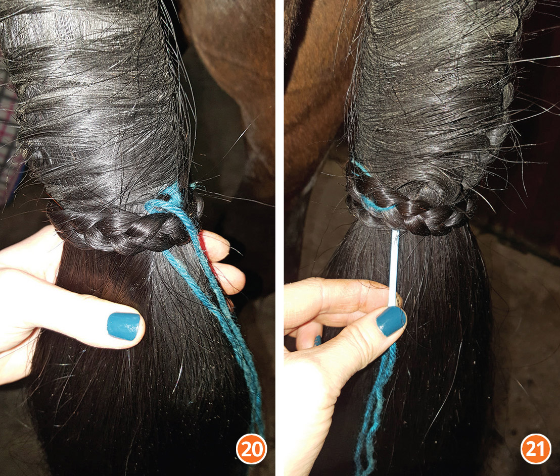 how to braid horse for hunter, how to braid horse for jumper, how to braid horse for dressage