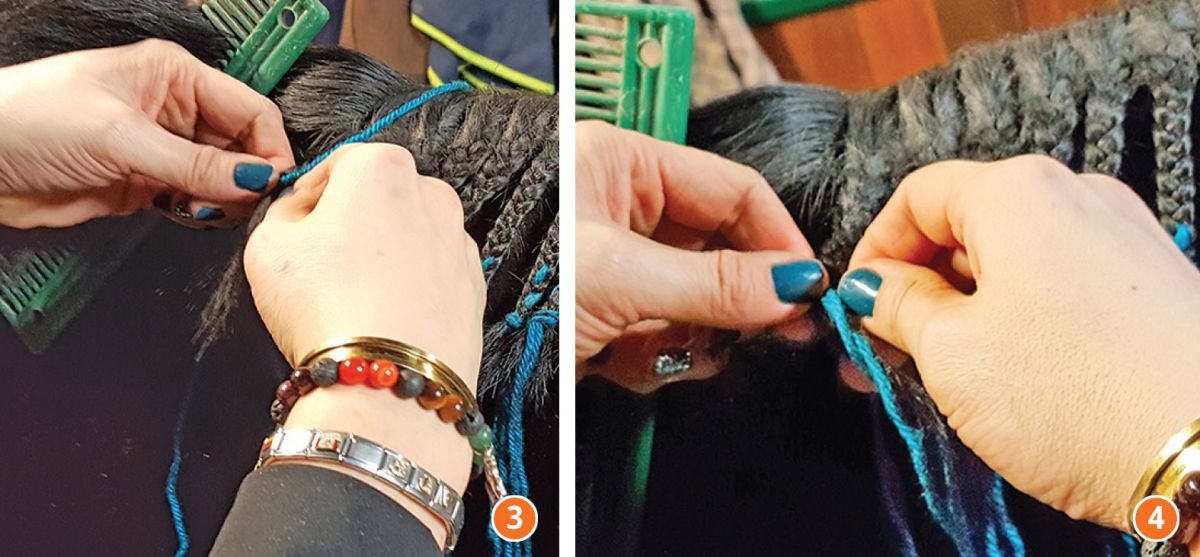 how to braid horse for hunter, how to braid horse for jumper, how to braid horse for dressage