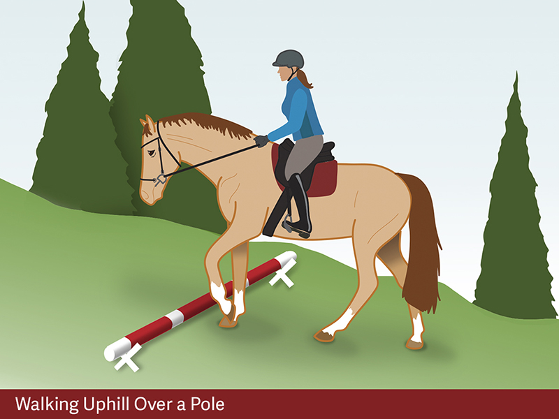 exercises for horses, jec ballou riding exercises, training horses with poles, pole exrcises horses