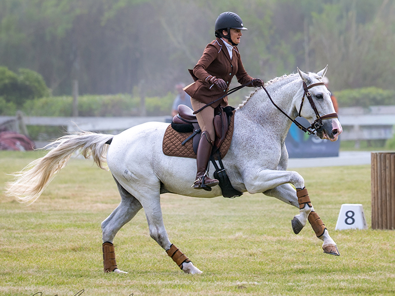Canadian working equitation horse and rider racing through the speed phase