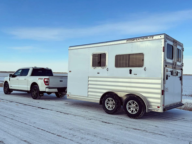 north country equestrian blog, popular horse blog, winter horse care, winter horse grooming, abby stilwell blog