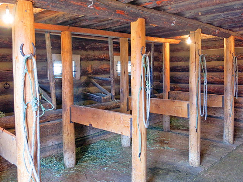 trail riding canada, horseback riding canada, ya ha tinda working horse ranch, camping with hores canada