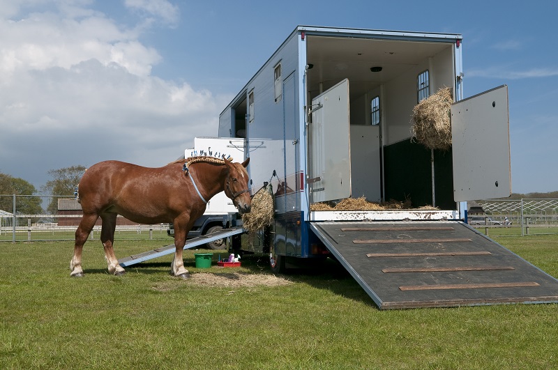 Inside Your Horse Trailer, horse to transport my horse safely, what type of horse trailer should i buy, best horse trailers, shipping fever, pleuropneumonia, kevan garecki
