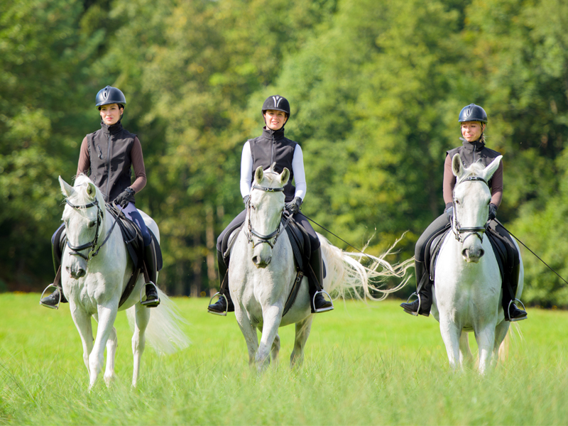 alexa linton posture horse riding, importance posture horse ride, how to sit on a horse