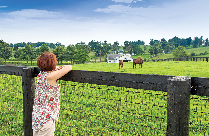 what is the safest type of horse fencing? What is most functional type of horse fencing? different types of horse fencing, vinyl horse fencing, electric horse fencing, polywire horse fencing, tape horse fencing