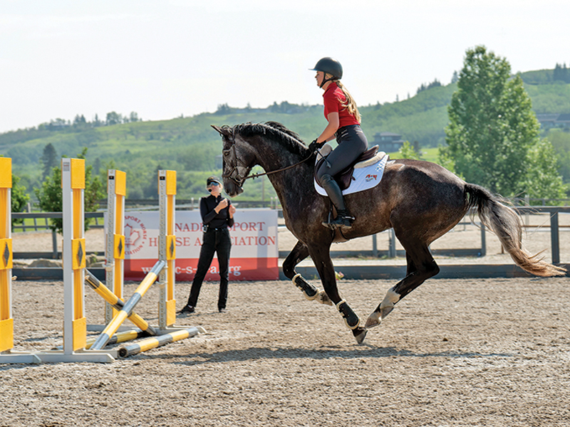 tiffany foster canadian csha, tiffany foster symposium, straightening your horse, horse backing up, positive horse training