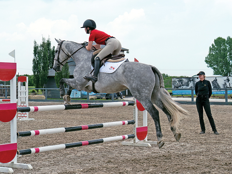 tiffany foster canadian csha, tiffany foster symposium, straightening your horse, horse backing up, positive horse training