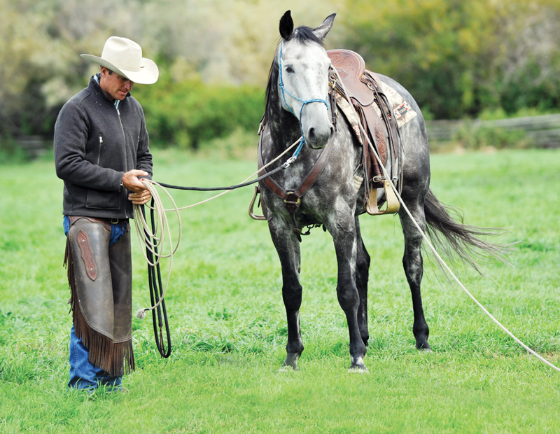 horse groundwork, Build Your Horse’s Confidence with jonathan field, natural horsemanship, exercises with horses, jonathan field dragging a log, horse confidence