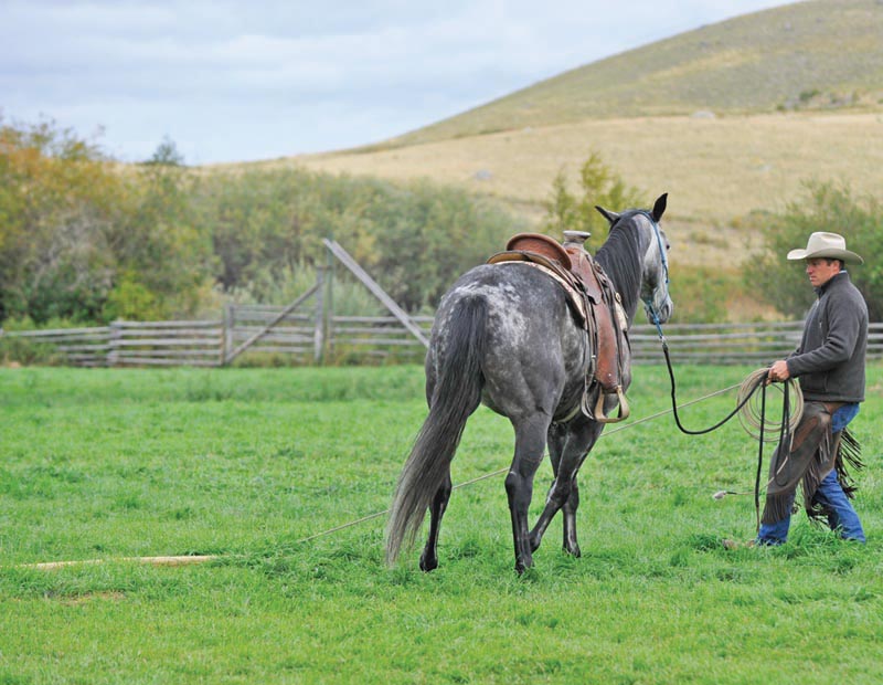 horse groundwork, Build Your Horse’s Confidence with jonathan field, natural horsemanship, exercises with horses, jonathan field dragging a log, horse confidence