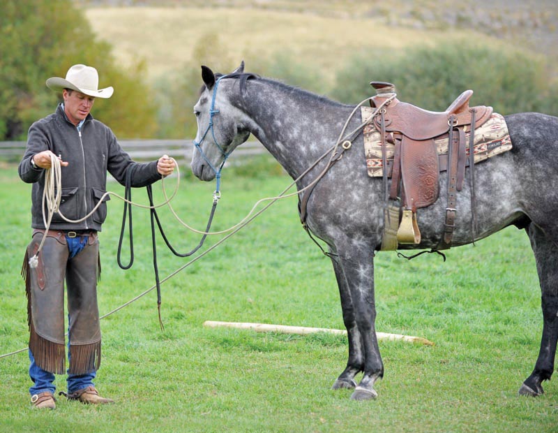 horse groundwork, Build Your Horse’s Confidence with jonathan field, natural horsemanship, exercises with horses, jonathan field dragging a log, horse confidence