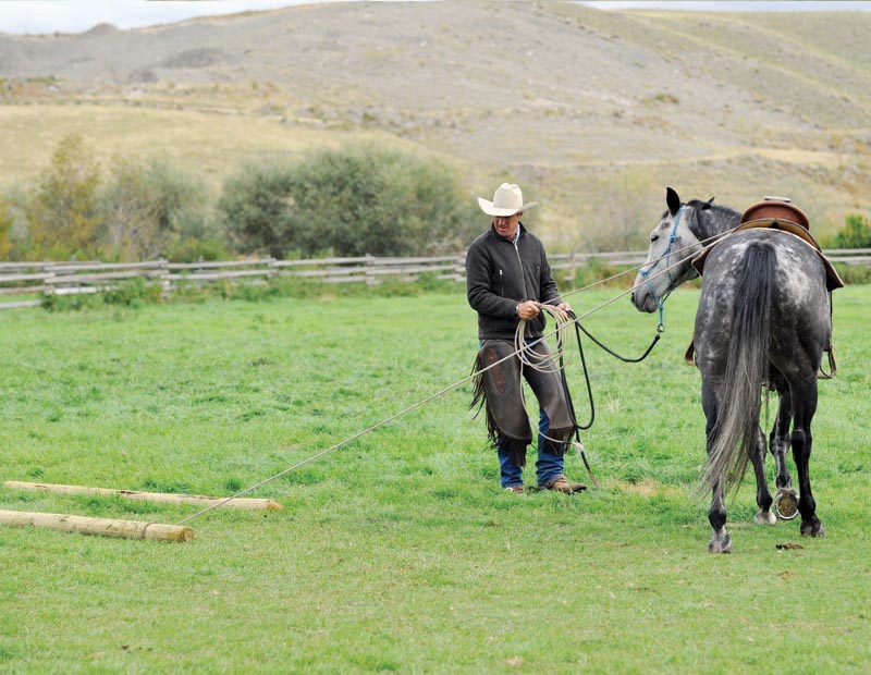 horse groundwork, Build Your Horse’s Confidence with jonathan field, natural horsemanship, exercises with horses, jonathan field dragging a log, horse confidence