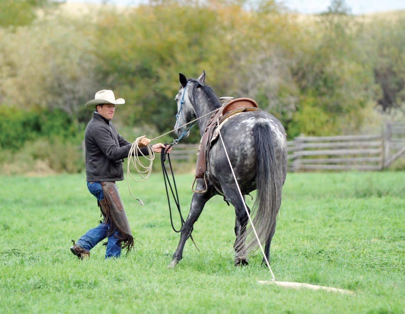 horse groundwork, Build Your Horse’s Confidence with jonathan field, natural horsemanship, exercises with horses, jonathan field dragging a log, horse confidence