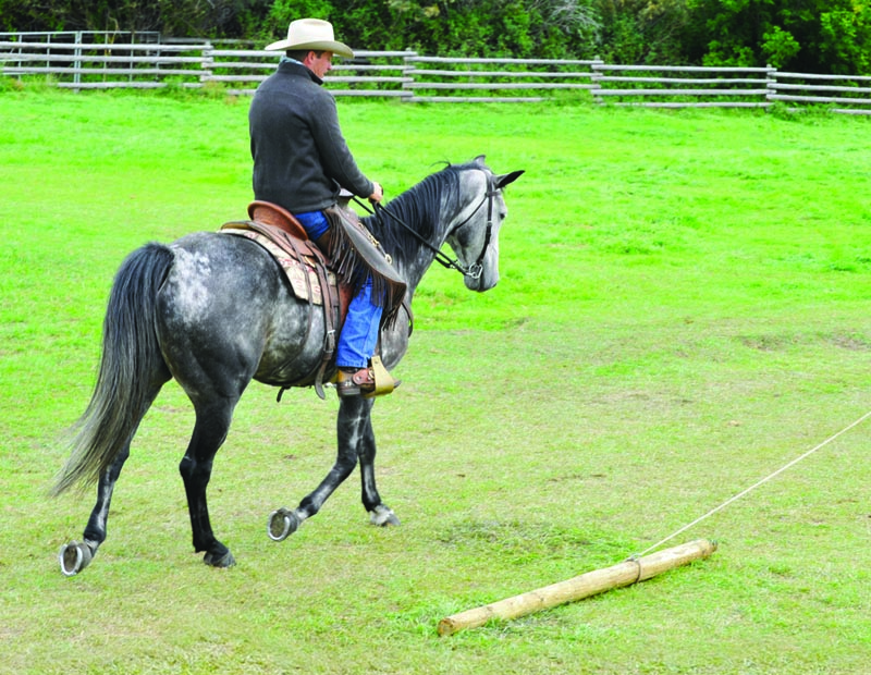Build Your Horse’s Confidence with jonathan field, natural horsemanship, exercises with horsesBuild Your Horse’s Confidence with jonathan field, natural horsemanship, exercises with horses, jonathan field dragging a log, horse confidence