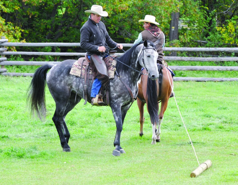 Build Your Horse’s Confidence with jonathan field, natural horsemanship, exercises with horses, jonathan field dragging a log, horse confidence
