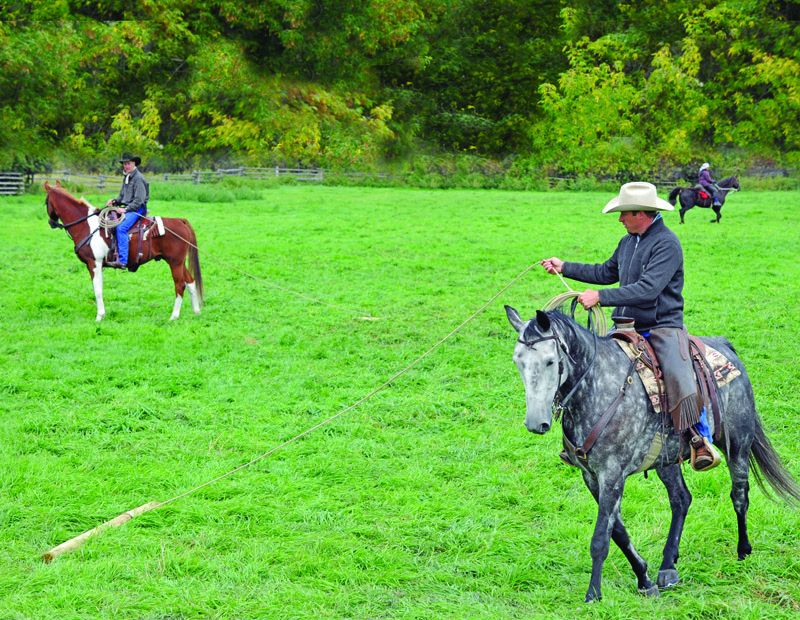 Build Your Horse’s Confidence with jonathan field, natural horsemanship, exercises with horses, jonathan field dragging a log, horse confidence