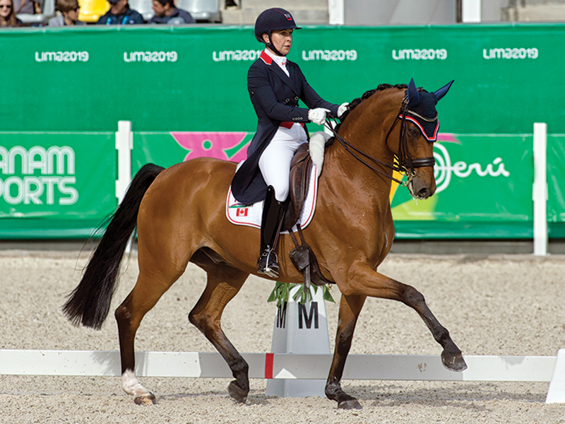 tania millen, pony club, how to join canadian pony club, history of pony club, brian morton pony club, karl slezak pony club, alberta north pony club, jill irving youth riding, prentice creek equestrian centre