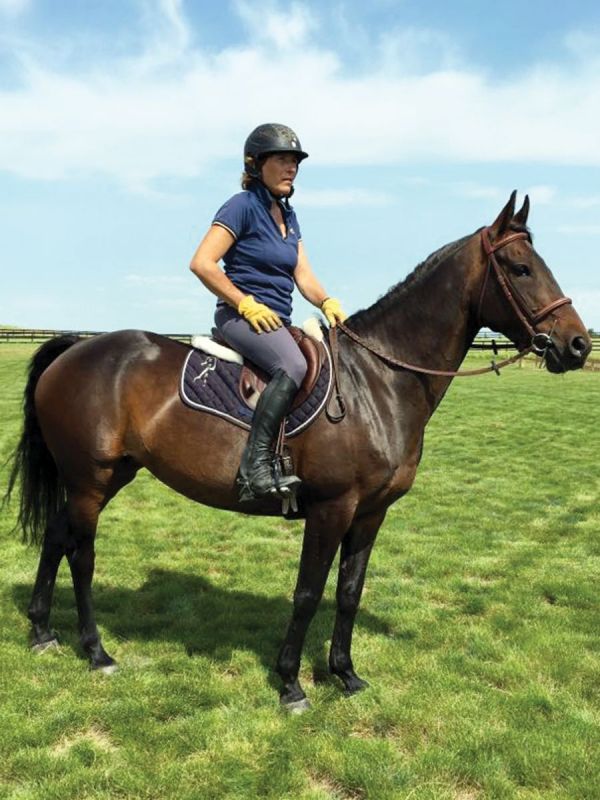 colt starting competition, tania millen, how to start a horse, working with foal, jim anderson higher horsemanship, heart of the horse, niki flundra horse trainer, glenn stewart horse, jill barron horse