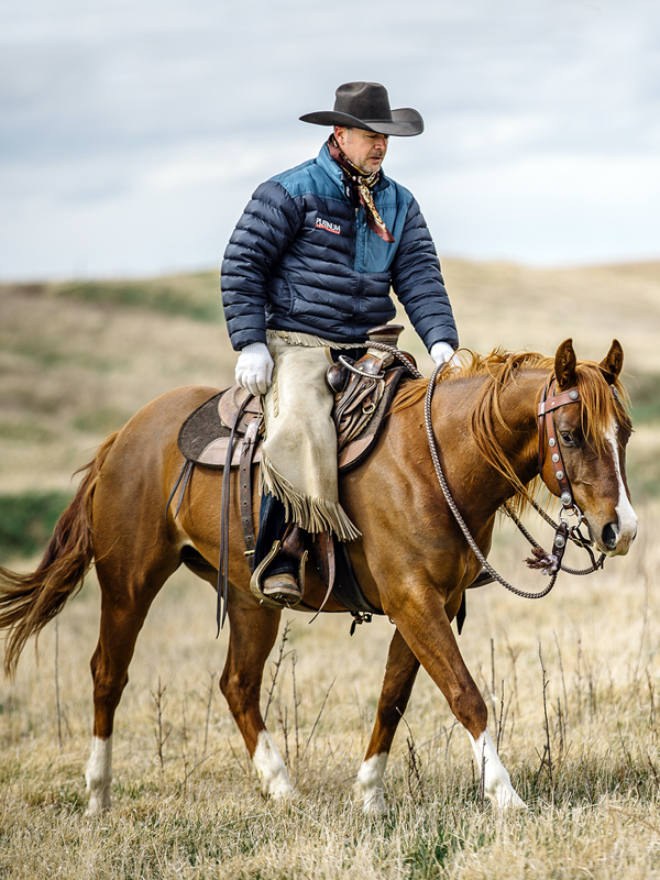 colt starting competition, tania millen, how to start a horse, working with foal, jim anderson higher horsemanship, heart of the horse, niki flundra horse trainer, glenn stewart horse, jill barron horse