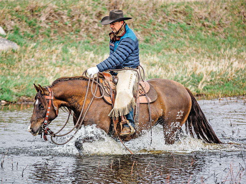 colt starting competition, tania millen, how to start a horse, working with foal, jim anderson higher horsemanship, heart of the horse, niki flundra horse trainer, glenn stewart horse, jill barron horse
