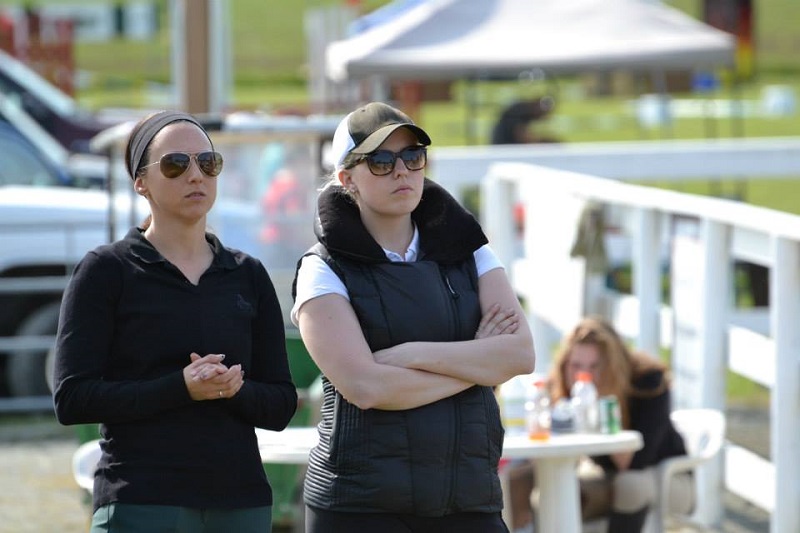 walking horse jump course, learning your horse jump course, studying equine jump course